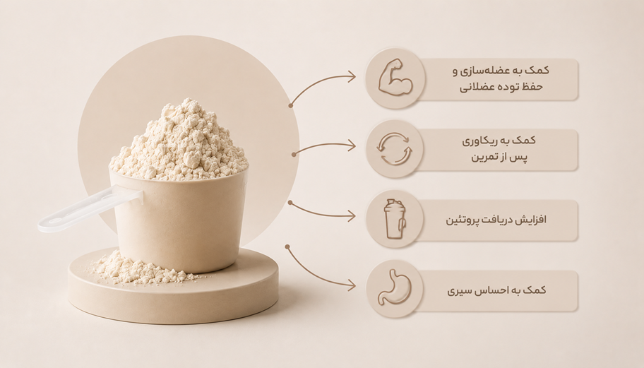 فواید پروتئین وی